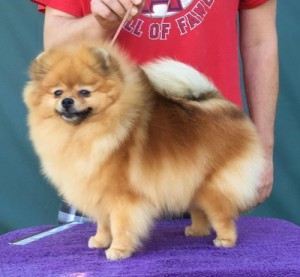 Noble's If I Could Turn Back Time