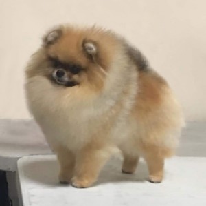 Noble's Playtime Is Over