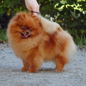 Silhouette's Stormin The Gates