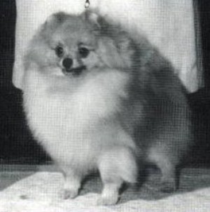 Fame Piece of the Rock