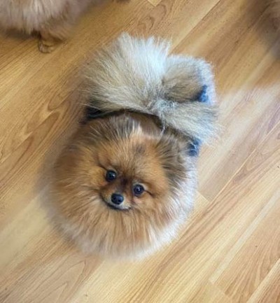 Ainsley at 2 1/2 yrs old