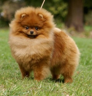 Sunterra She's All That