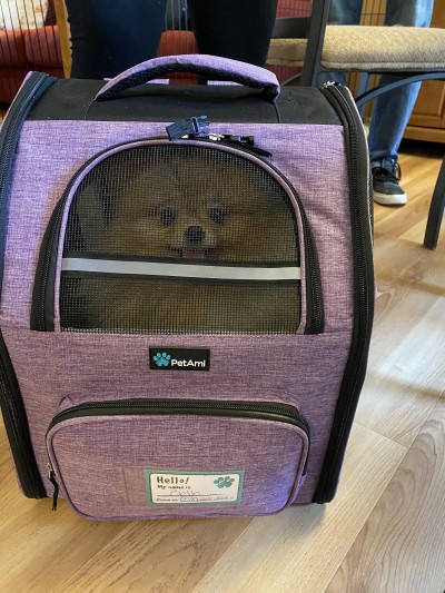 GCh. Luci off on some adventures