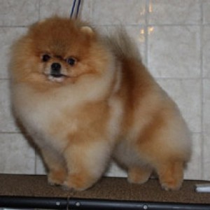 Bravo's Traveling In Style