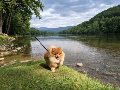 Vanna Banana living her best life in retirement!