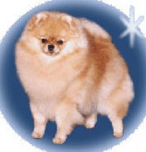 Gar-V's Desert Windsong