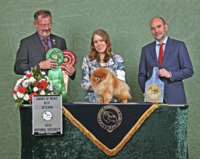 Kert winning Best Veteran & an Award of Merit at the 2022 APC National Specialty at nearly 11 years old.