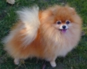 Nguyen Cory Loverboy of GQ