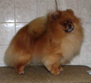 Mythical Laugh'n Out Loud