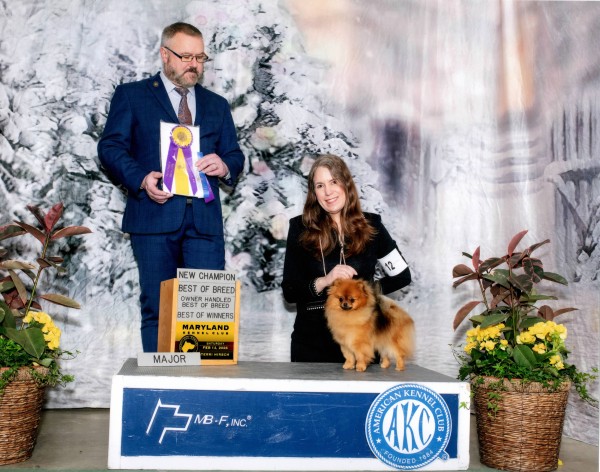 Ch. Silhouette's Strawberry Shortcake