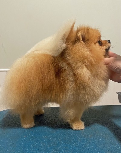 Lily at 15 mos old