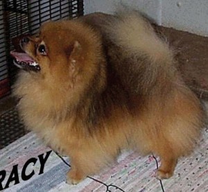 Finch's Baby Likes To Rockit