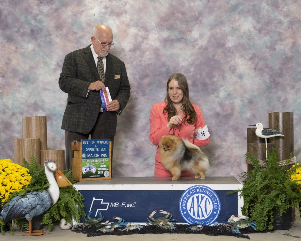 Ch. Silhouette's Saltwater Taffy