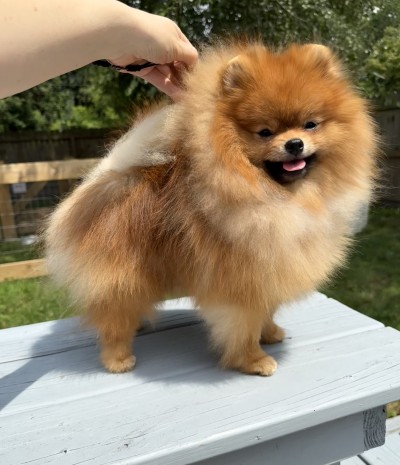 Dustin at 1 year old
