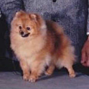 Jan Le's Til We Meet Again