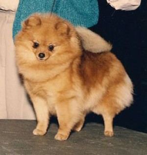 Southland's Happy Birthday Bil