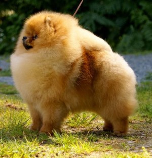 Sunterra Stand N Deliver