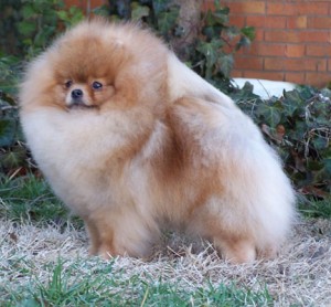 Sunterra Show N Tell