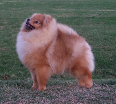 Adia at 7 months old