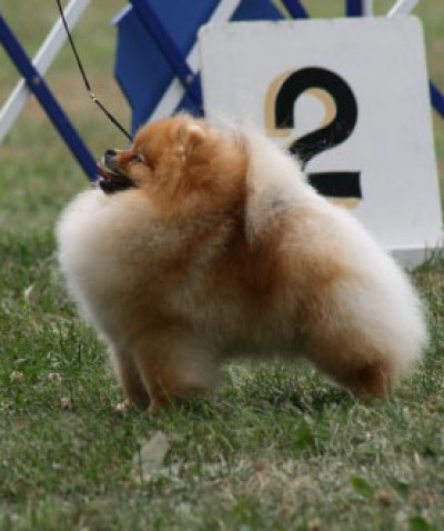 Ashton at 1  year old in Canada