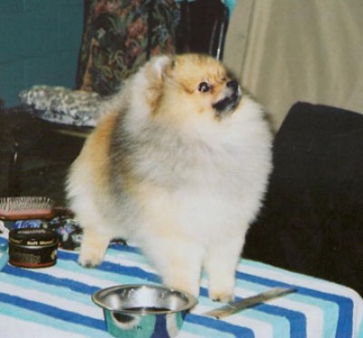 Dallas in Pennsauken, NJ before winning a major