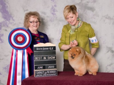 Darcy winning Best In Show at 15 mos old