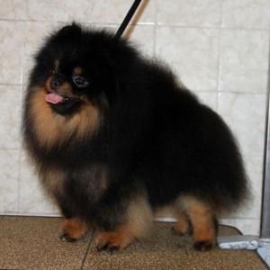 Nowland's Neo You're The One