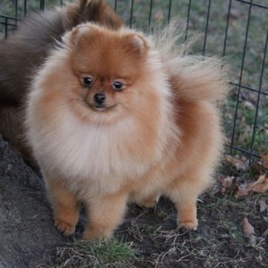 Mythical Heaven On Earth