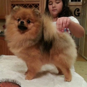 Dee Little Hot Momma