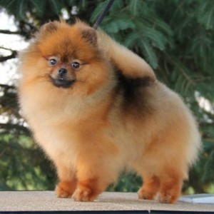 Mythical Easy Does It