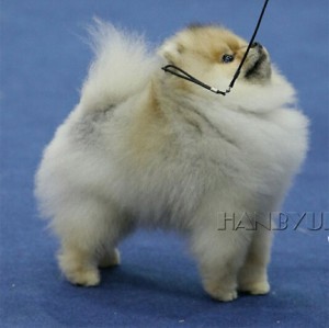 Golden Castle's Starlight Parade