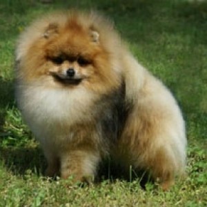 Sunterra Sky High At Atmajita's (in India)