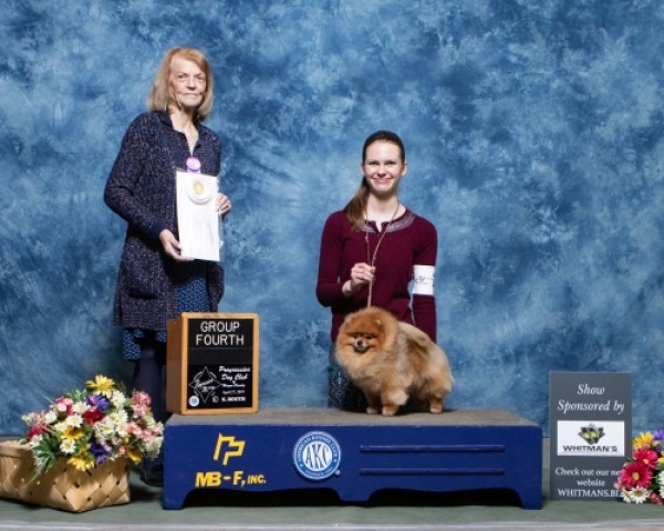 GCh. Silhouette's Seriously! (group placer)